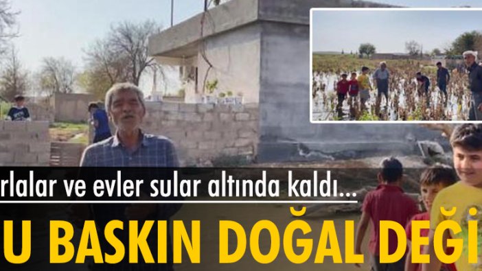 Suruç'ta tarlalar ve evler su altında kaldı