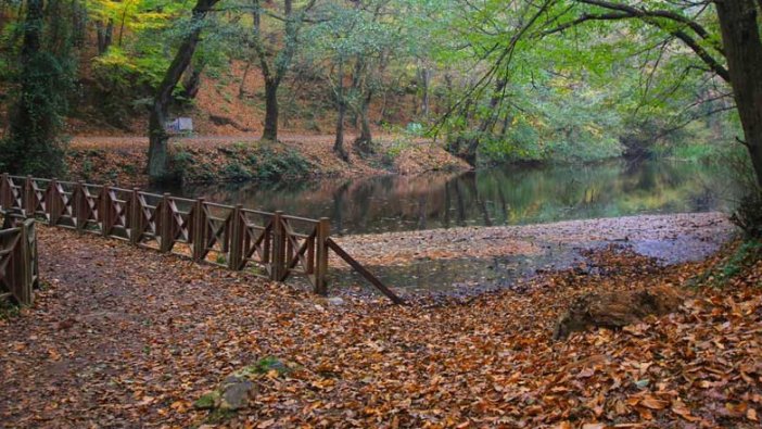 İstanbul'daki ormanlara giriş yasağı uzatıldı