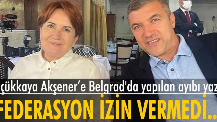 İsmail Küçükkaya, İYİ Parti Genel Başkanı Meral Akşener’e Belgrad'da yapılan ayıbı yazdı