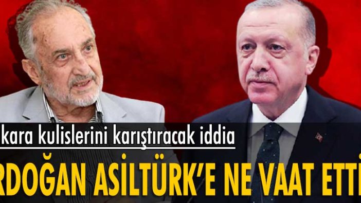 Bomba iddia: Erdoğan'ın Asiltürk'e neler vaat ettiği ortaya çıktı!