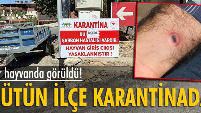 Siirt’te bir ilçe karantinada!