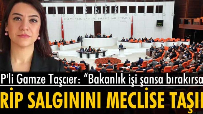 CHP'li Gamze Taşcıer, mevsim geçişinde artan grip salgınını meclise taşıdı