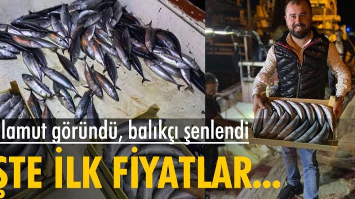 Palamut göründü balıkçı şenlendi... İşte ilk fiyatlar