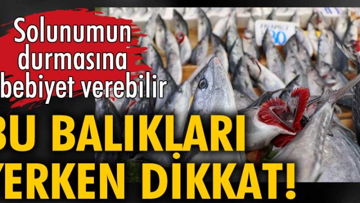 Uzmanlar uyarıyor: Bu balıklar solunumun durmasına sebep olabilir