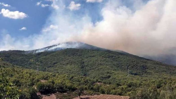 Tunceli'deki yangında son durum!