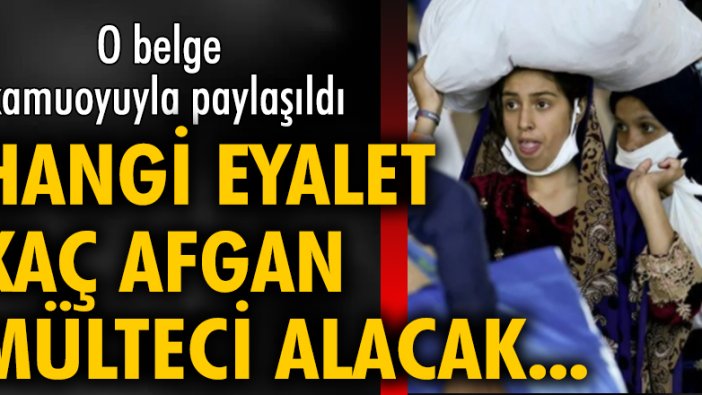 ABD'de hangi eyaletin ne kadar Afgan mülteci alacağı belli oldu