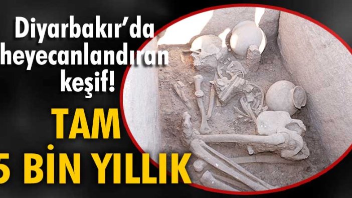 Diyarbakır’da tam 5 bin yıllık heyecanlandıran keşif!