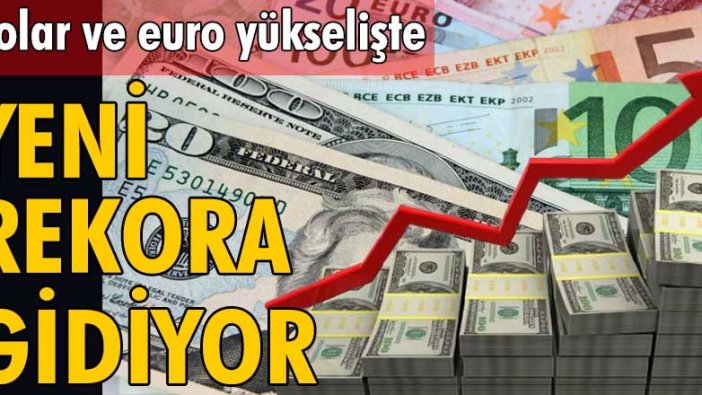 Faiz kararı beklenirken, euro ve dolar uçuşa geçti