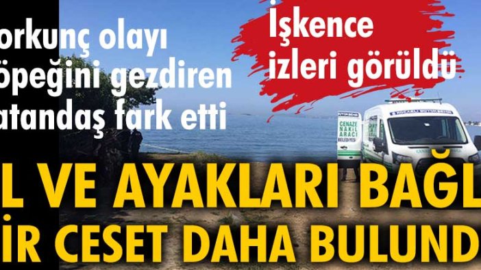 Elleri ve ayakları bağlanmış, işkence görmüş kimliği belirsiz erkek cesedi Kocaeli'nin Darıca sahilinde kıyıya vurdu