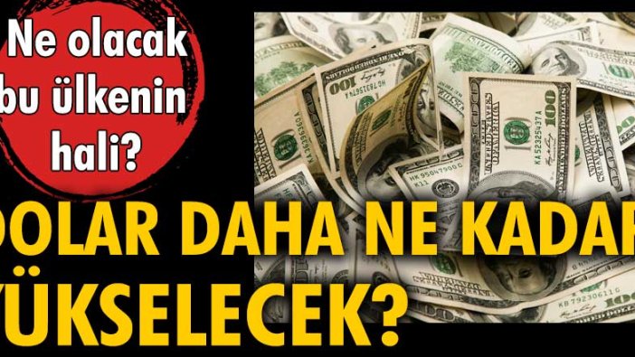 Ne olacak bu ülkenin hali? Dolar daha ne kadar yükselecek?