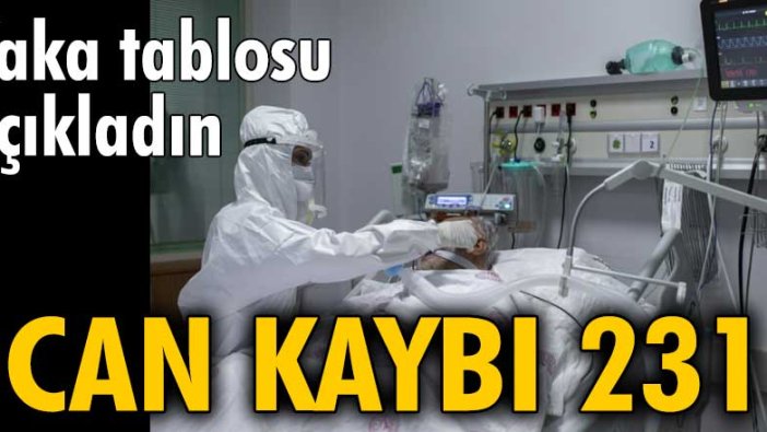 Koronavirüs vaka tablosu açıklandı: 231 kişi hayatını kaybetti