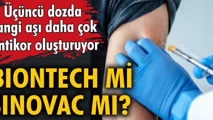 Antikor araştırması! Biontech mi, Sinovac mı?