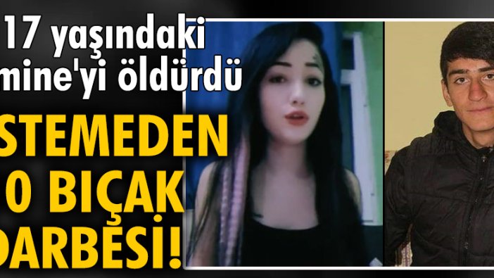 17 yaşındaki Emine'yi 10 bıçak darbesiyle öldüren zanlı: İstemeden yaptım