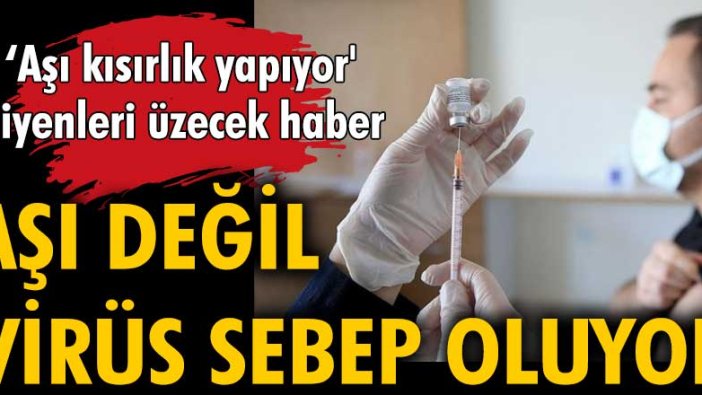 'Aşı kısırlık yapıyor' diyenleri üzecek haber... Aşı değil, virüs sebep oluyor