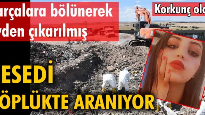 Korkunç olay! Cesedi çöplükte aranıyor