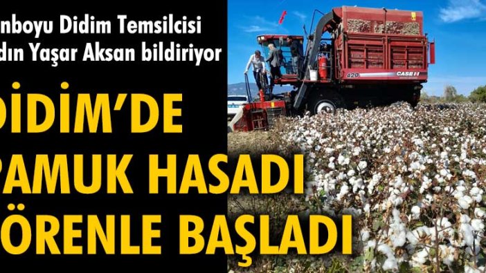 Didim'de pamuk hasadı  törenle başladı