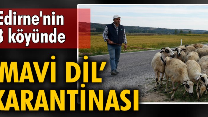 Edirne'nin 8 köyünde 'mavi dil' karantinası