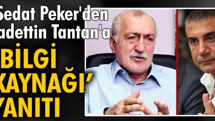 Sedat Peker'den, Sadettin Tantan'a 'bilgi kaynağı' yanıtı