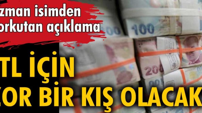 Uzman isimden korkutan açıklama: TL için zor bir kış olacak