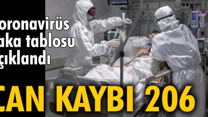 Koronavirüs vaka tablosu açıklandı: 206 kişi hayatını kaybetti