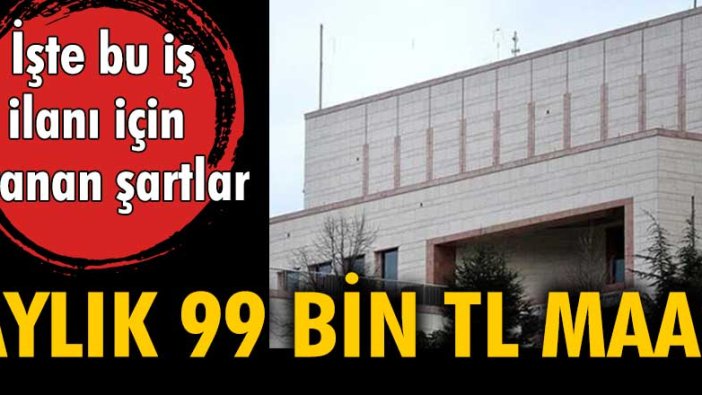 Aylık 99 bin TL maaş! İşte bu iş ilanı için aranan şartlar