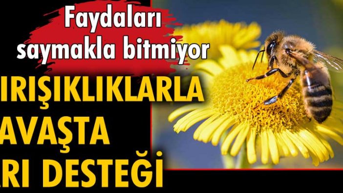 Kırışıklıklarla savaşta arı desteği... Faydaları saymakla bitmiyor