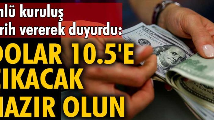 Capital Economics tarih vererek duyurdu: Dolar 10.5'e çıkacak hazır olun!