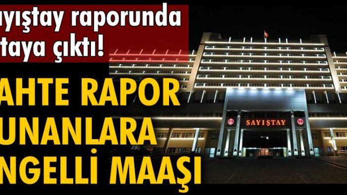 Sayıştay raporunda ortaya çıktı! Sahte rapor sunanlara engelli maaşı