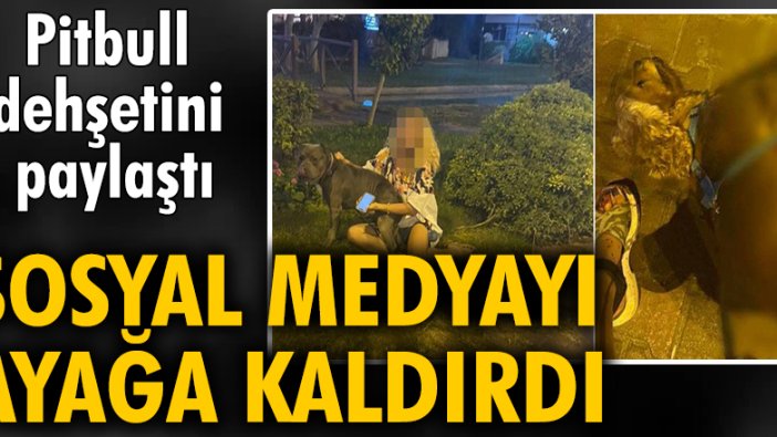 Pitbull dehşetini paylaştı, sosyal medyayı ayağa kaldırdı