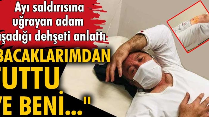 Ayı saldırısına uğrayan Ahmet Aral yaşadığı korku dolu anları anlattı