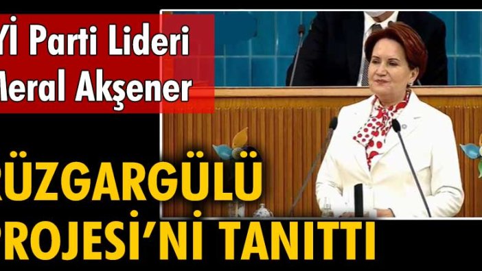 İYİ Parti Genel Başkanı Meral Akşener Rüzgargülü projesini tanıttı