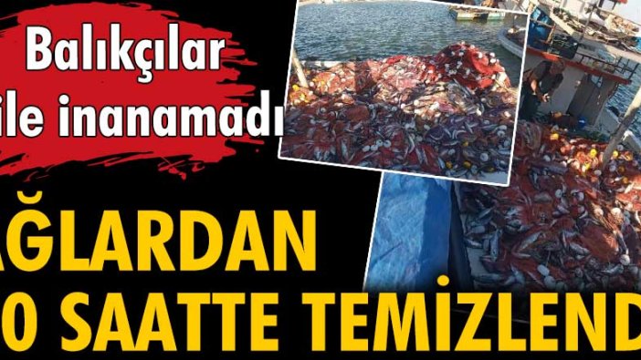 Çanakkaleli balıkçı, 15 bin tane lüfer yakaladı