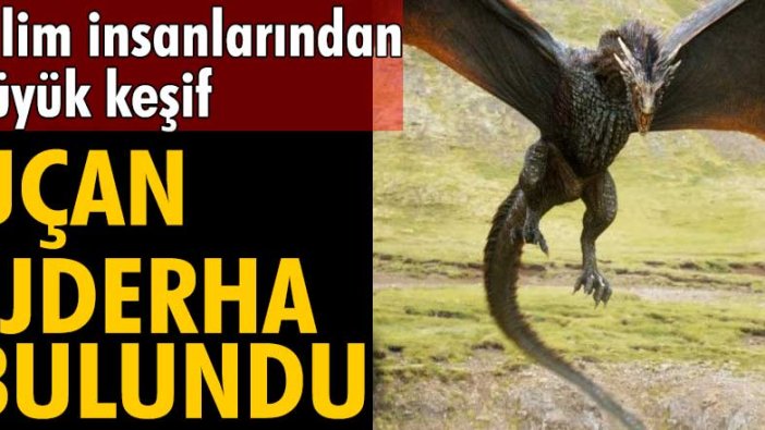 Bilim insanlarından büyük keşif! Şili'de Uçan Ejderha bulundu