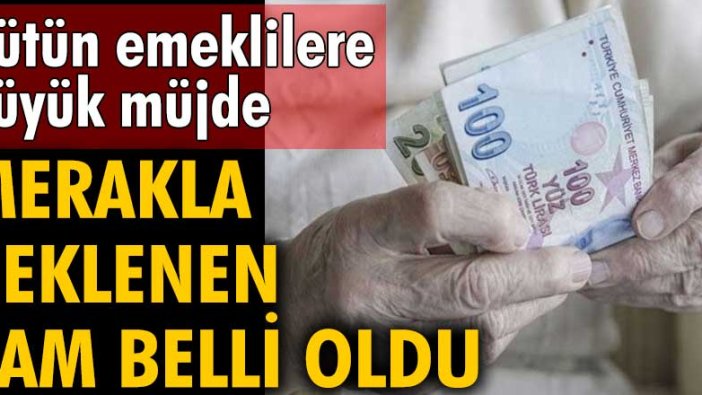 Bütün emeklilere büyük müjde! Maaşlarına 1.175 TL zam mı geliyor?