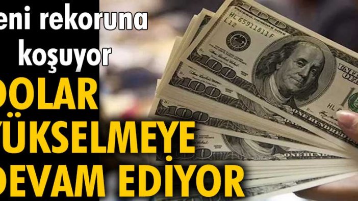 Yeni rekoruna koşuyor! Dolar yükselmeye devam ediyor