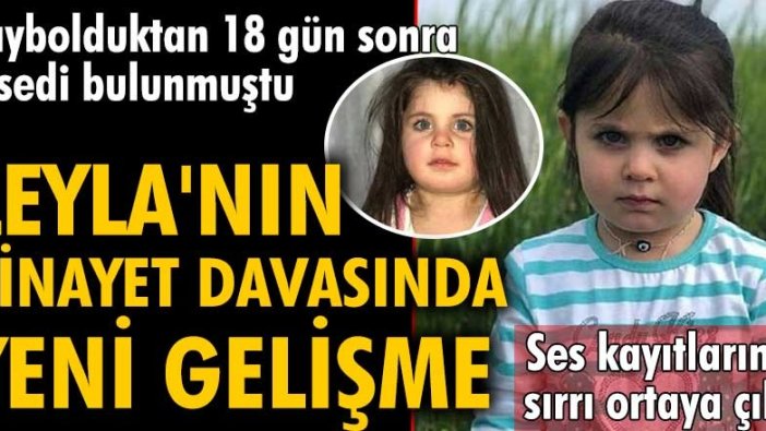 Leyla Aydemir'in cinayet davasında yeni gelişme! Ses kayıtlarının sırrı ortaya çıktı