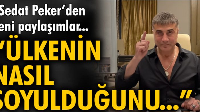 Sedat Peker'den yeni paylaşımlar: Ülkenin nasıl soyulduğunu...