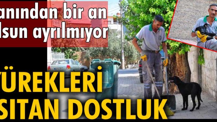 Manisa'da Mustafa Özdemir ve köpeğinin yürekleri ısıtan dostluğu