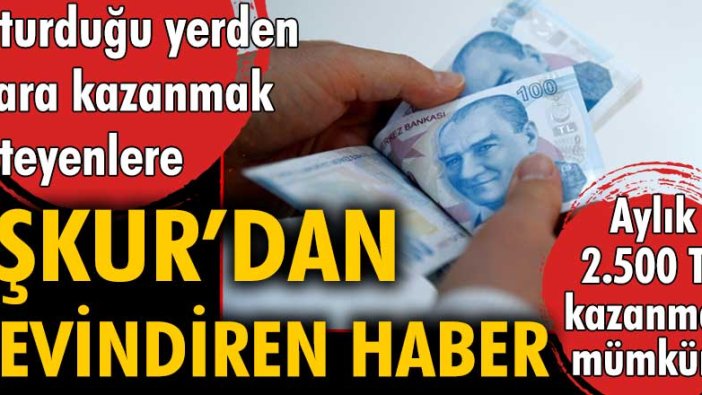 İŞKUR'dan sevindiren haber! Evden çalışarak 2500 TL maaş kazanabileceksiniz