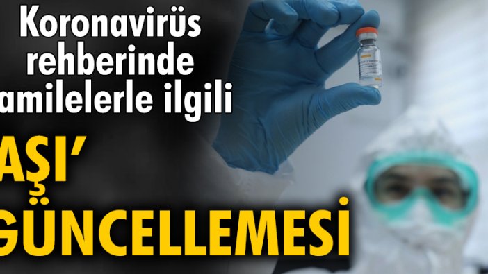 Koronavirüs rehberinde hamilelerle ilgili 'aşı' güncellemesi