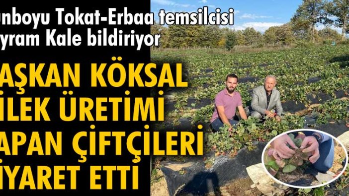 Başkan Arif Yılmaz Köksal çilek üretimi yapan çiftçileri ziyaret etti