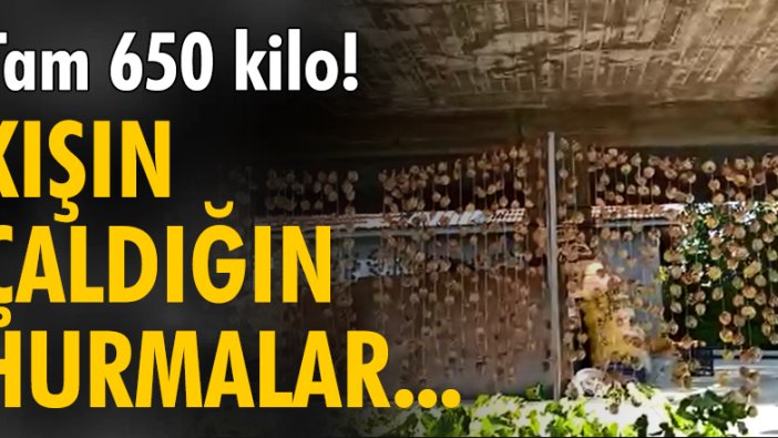 650 kilo hurma çaldı...