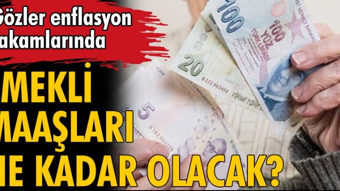 Emekli maaşları ne kadar olacak? İşte beklenen tarih