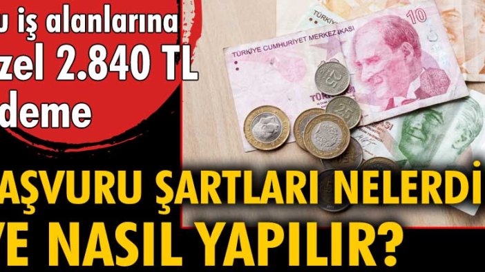 Bu iş alanlarına özel 2.840 TL ödeme! Başvuru şartları nelerdir ve nasıl yapılır?