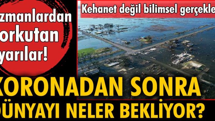 Koronadan sonra dünyayı neler bekliyor? Uzmanlardan korkutan uyarılar Kehanet değil bilimsel gerçekler