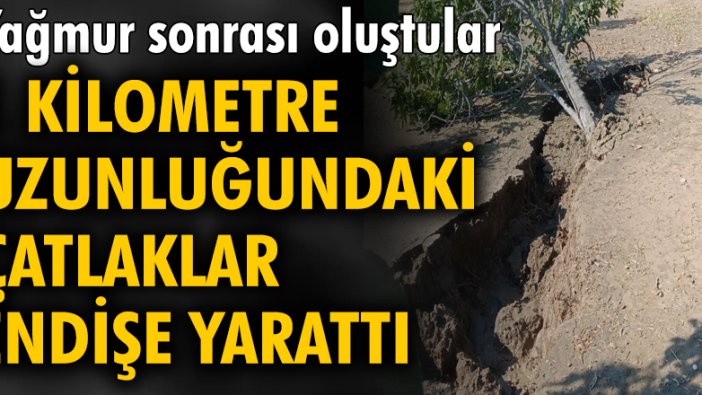 Yağış sonrası oluşan çatlaklar tedirgin etti