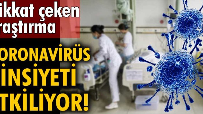 Dikkat çeken araştırma: Koronavirüs cinsiyeti etkiliyor!