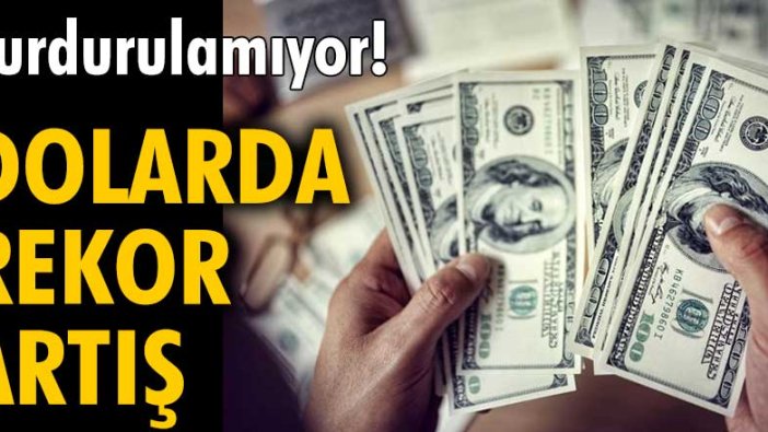 Dolarda rekor artış