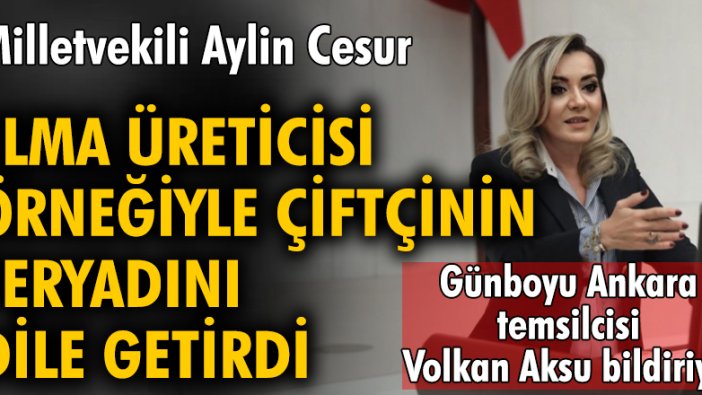 Milletvekili Aylin Cesur, elma üreticisi örneğiyle çiftçinin feryadını dile getirdi