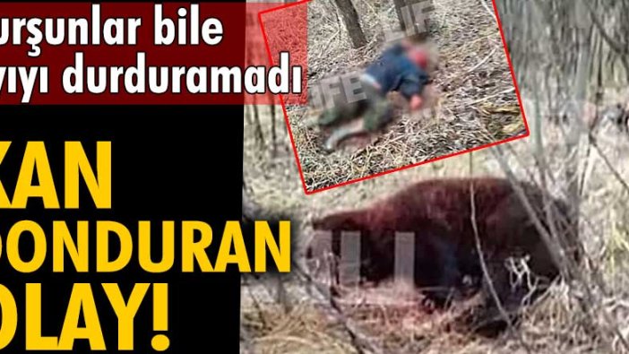 Rusya'da kan donduran olay! Kurşunlar bile ayıyı durduramadı